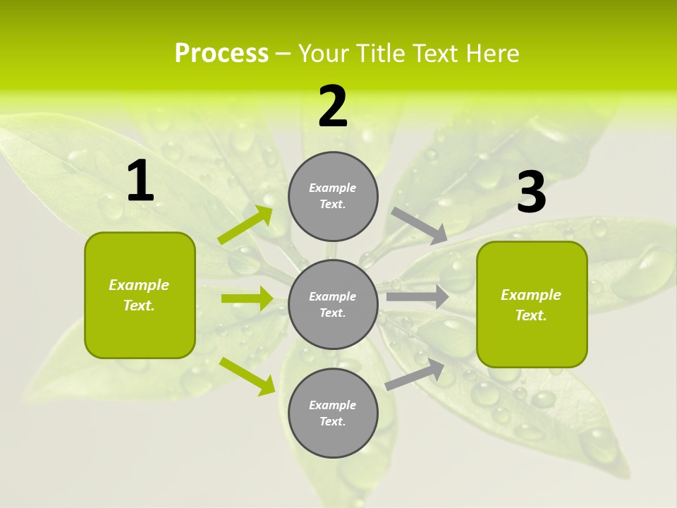Season Weather Growth PowerPoint Template
