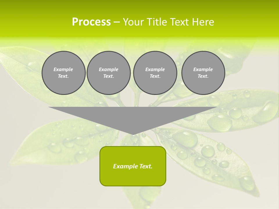 Season Weather Growth PowerPoint Template