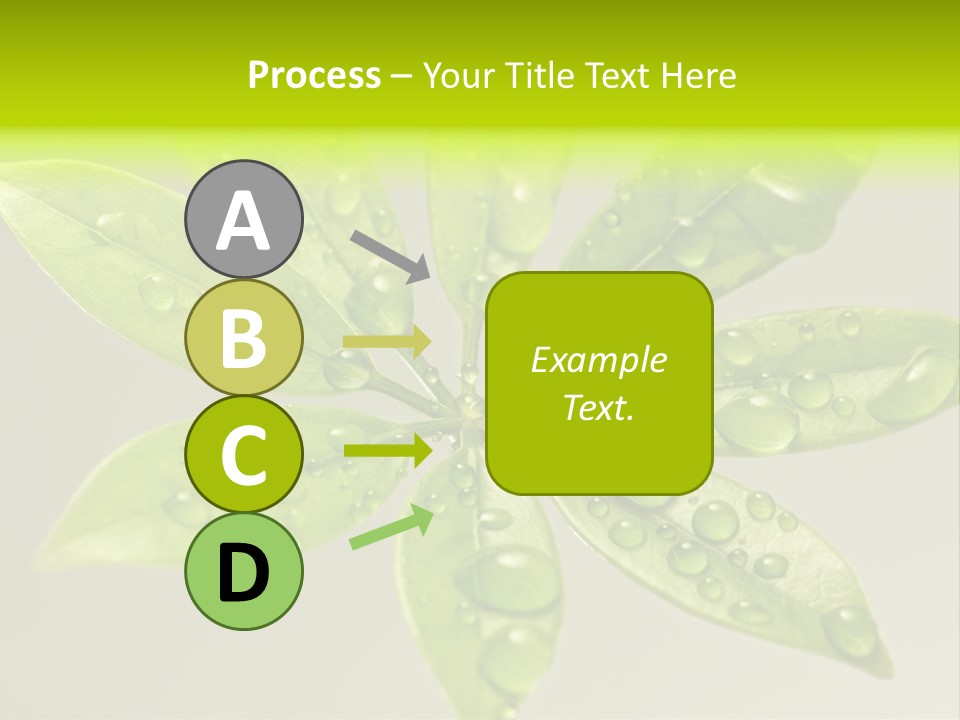 Season Weather Growth PowerPoint Template