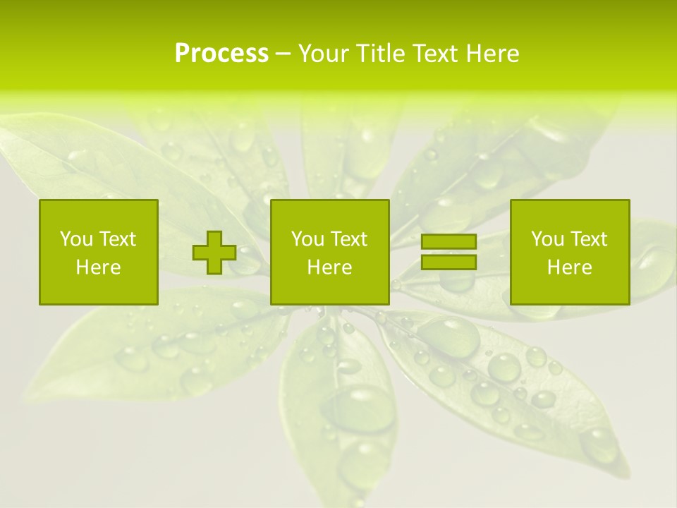 Season Weather Growth PowerPoint Template