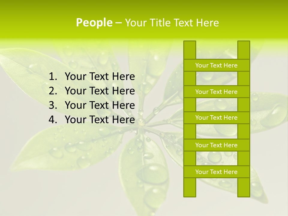 Season Weather Growth PowerPoint Template