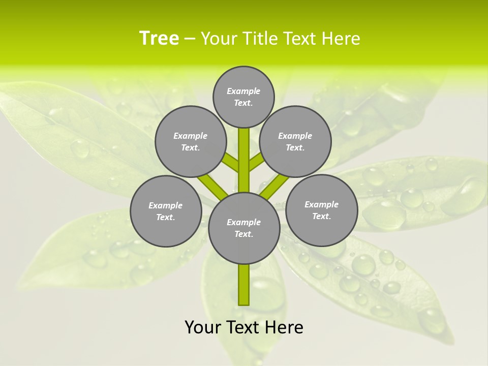 Season Weather Growth PowerPoint Template