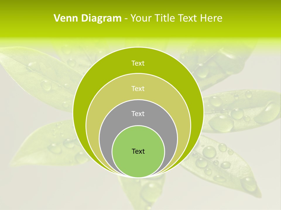 Season Weather Growth PowerPoint Template