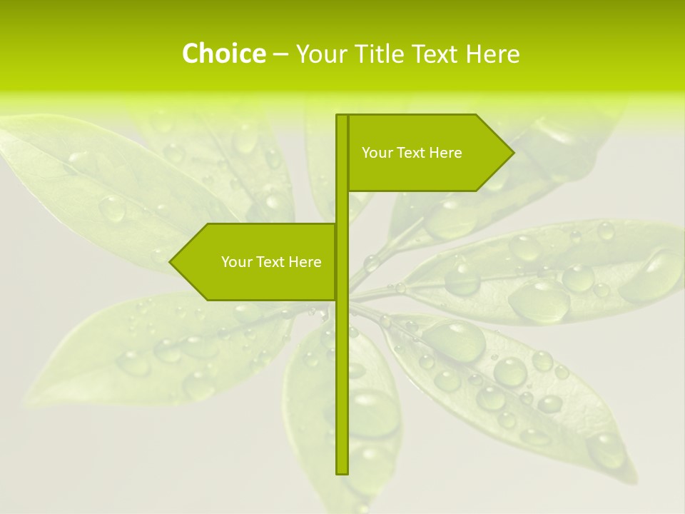 Season Weather Growth PowerPoint Template