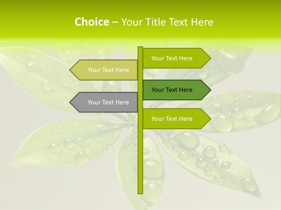 Season Weather Growth PowerPoint Template