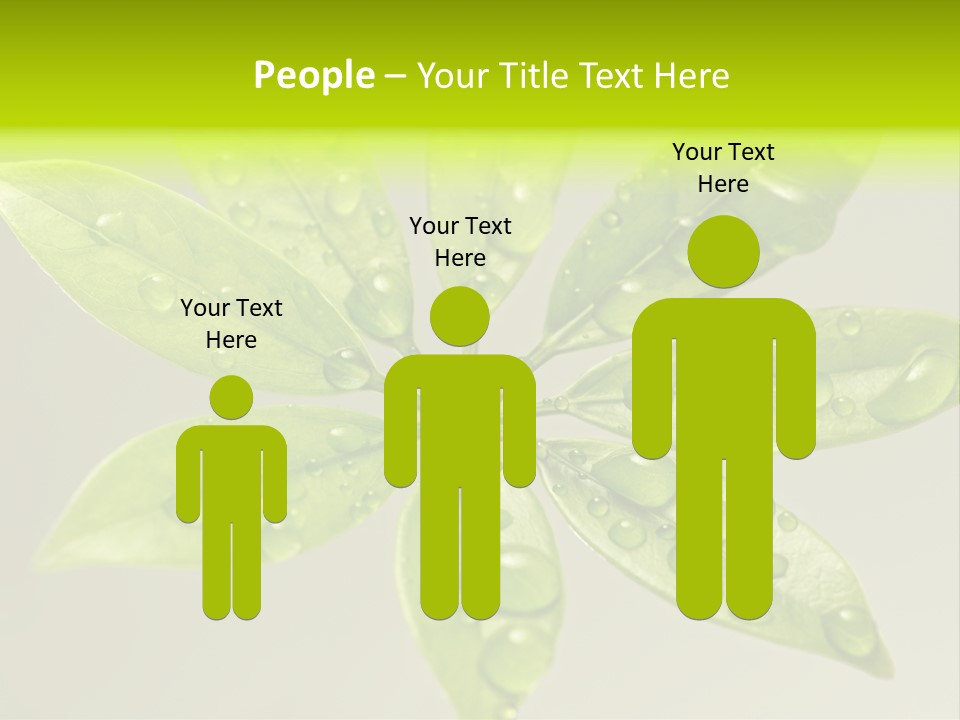 Season Weather Growth PowerPoint Template