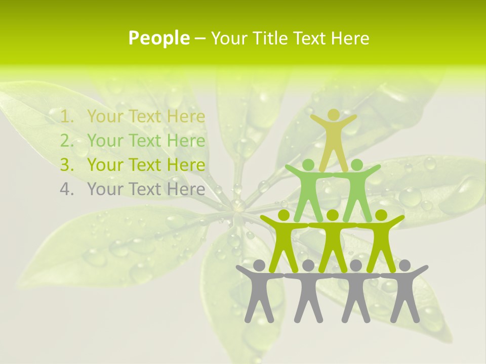 Season Weather Growth PowerPoint Template