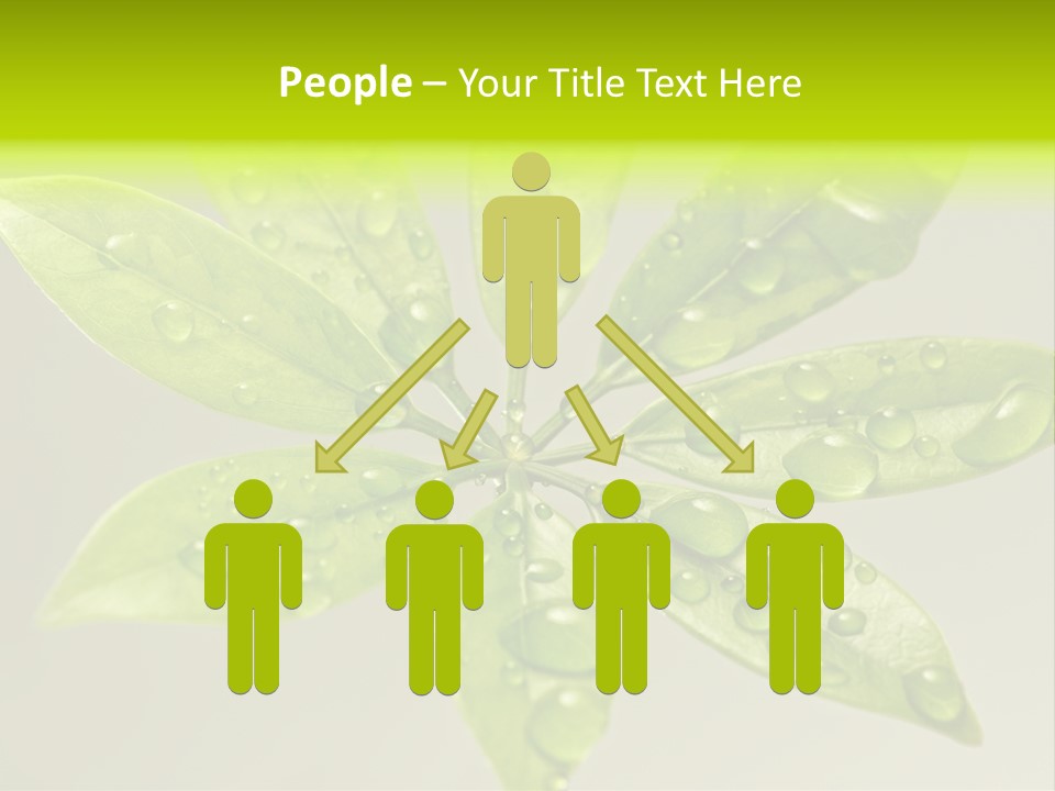 Season Weather Growth PowerPoint Template