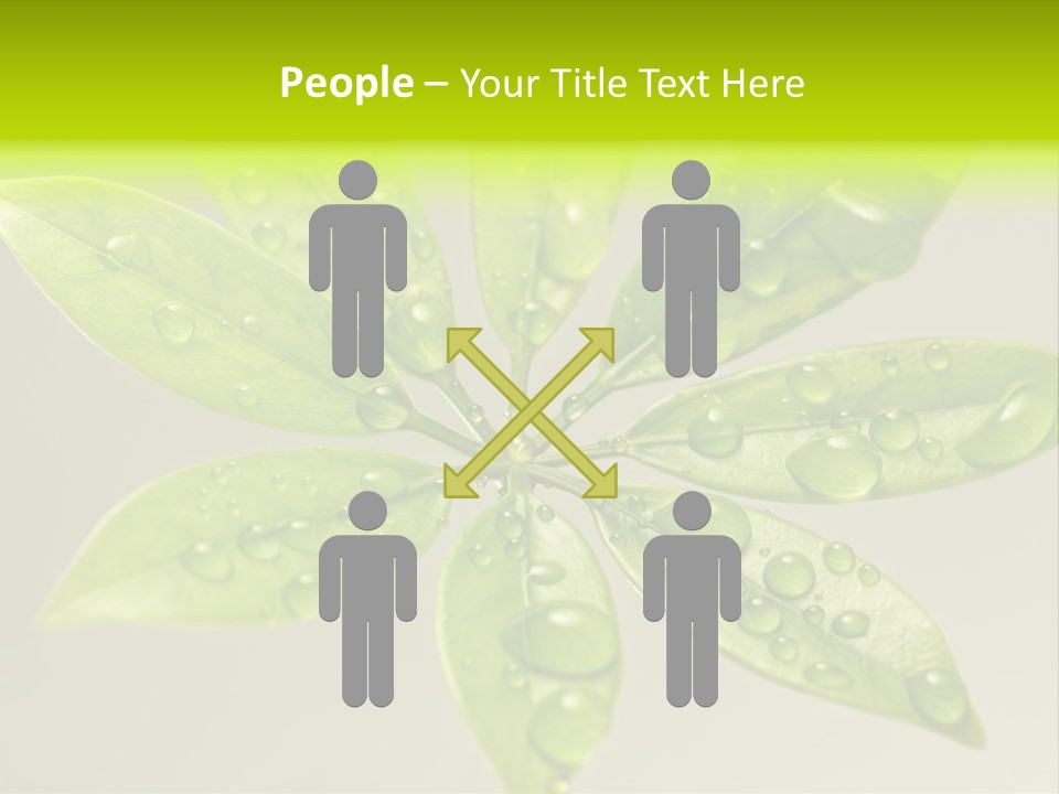 Season Weather Growth PowerPoint Template