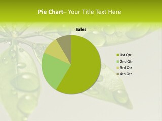 Plant Closeup Environment PowerPoint Template