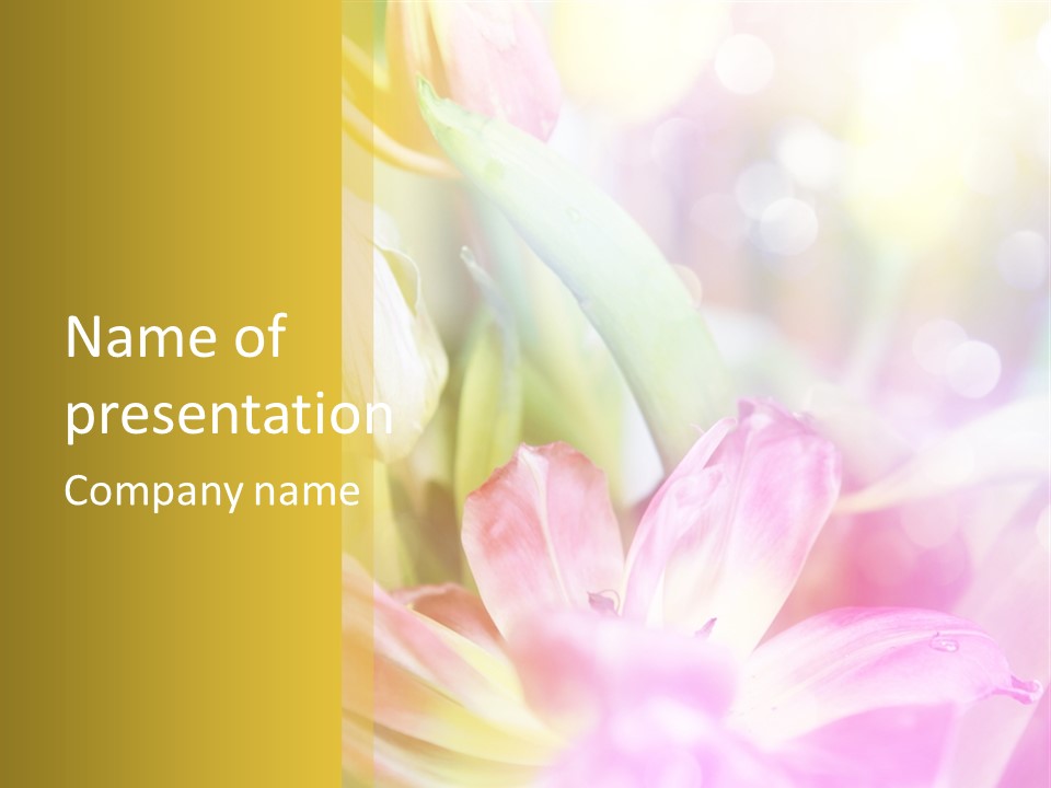 Beauty Floral Space PowerPoint Template