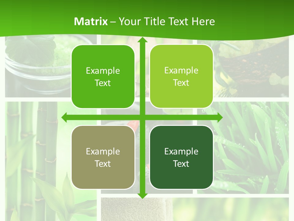 Bamboo Medical Legs PowerPoint Template