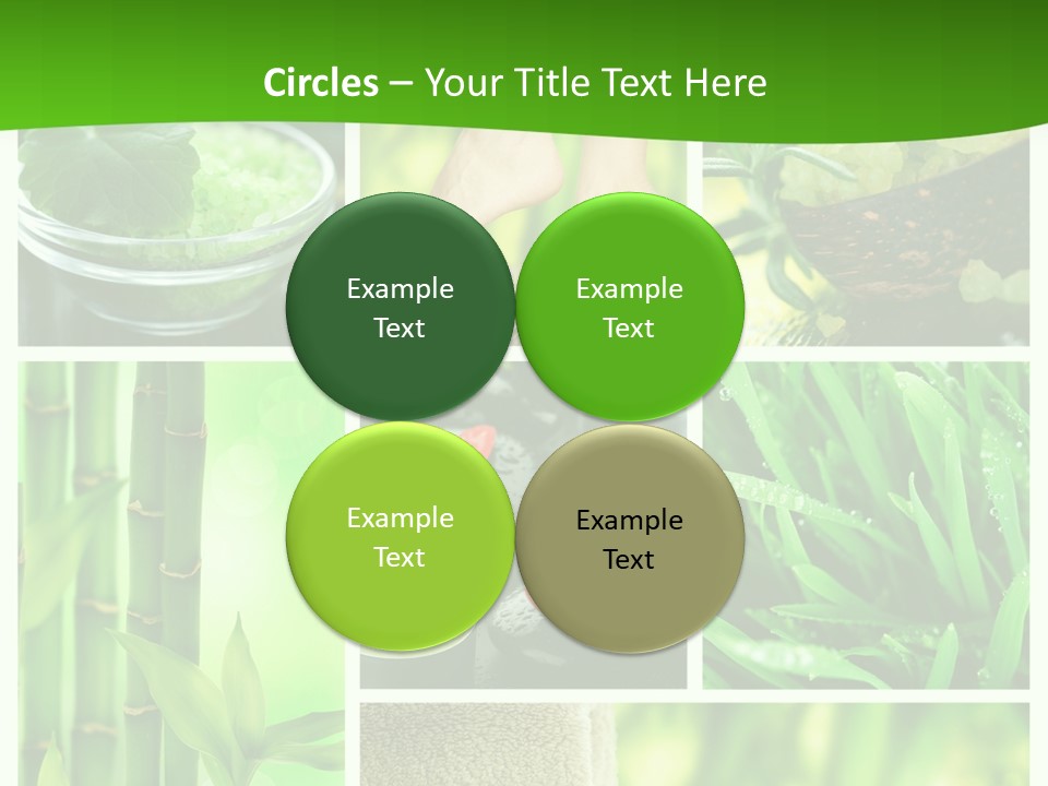 Bamboo Medical Legs PowerPoint Template