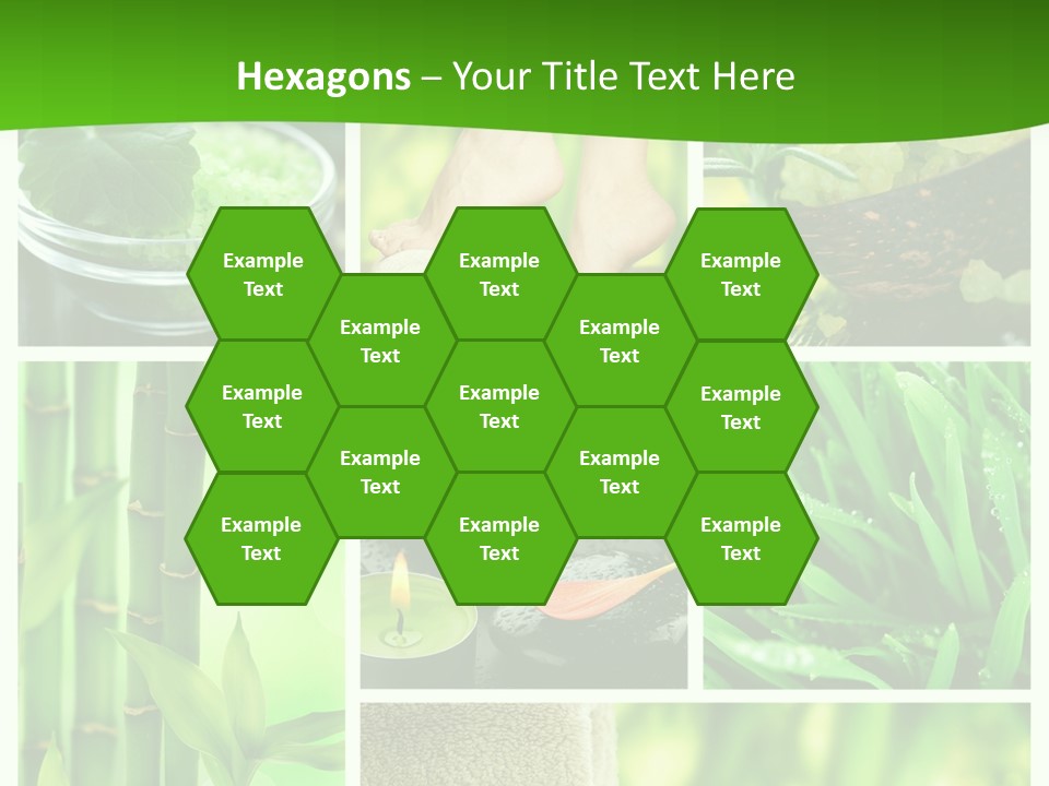 Bamboo Medical Legs PowerPoint Template