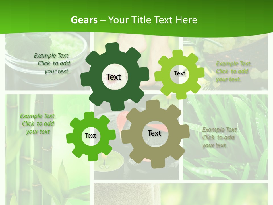 Bamboo Medical Legs PowerPoint Template