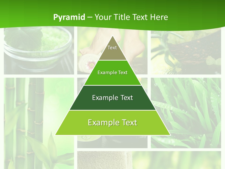 Bamboo Medical Legs PowerPoint Template