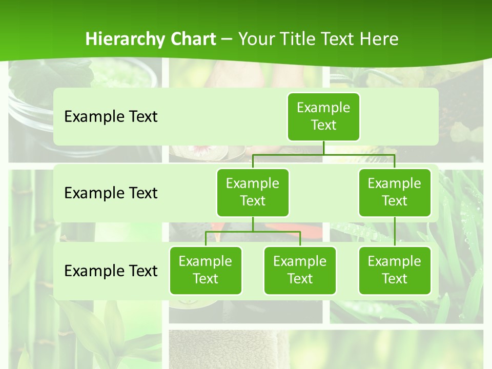Bamboo Medical Legs PowerPoint Template