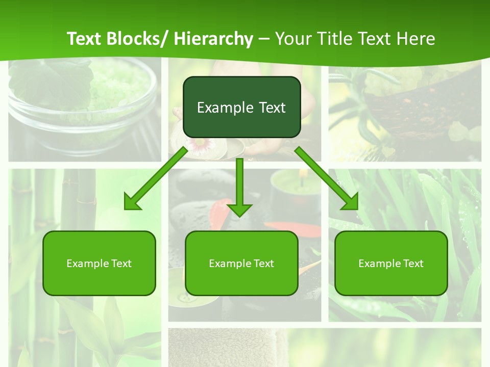 Bamboo Medical Legs PowerPoint Template