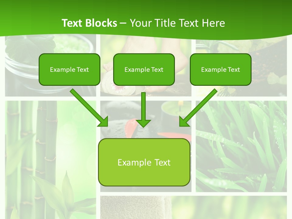Bamboo Medical Legs PowerPoint Template