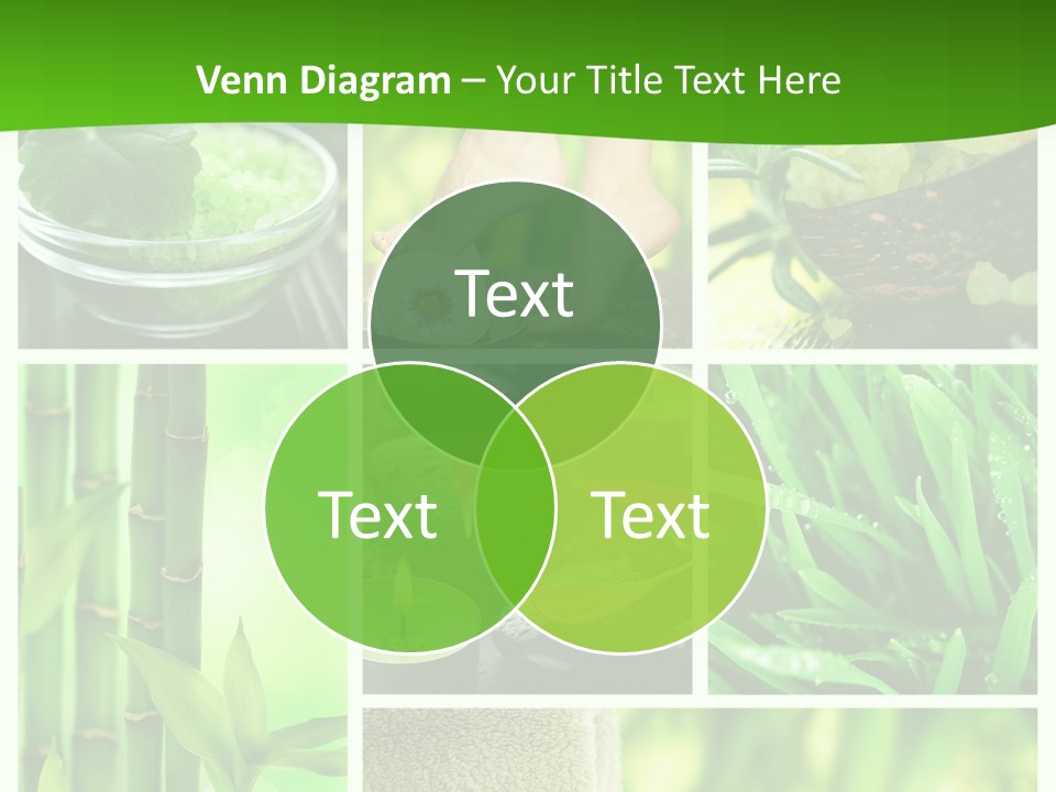 Bamboo Medical Legs PowerPoint Template