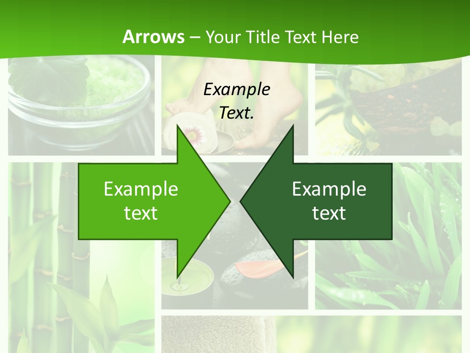 Bamboo Medical Legs PowerPoint Template