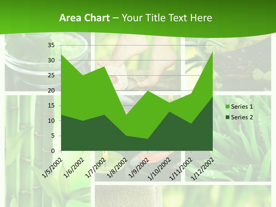 Bamboo Medical Legs PowerPoint Template