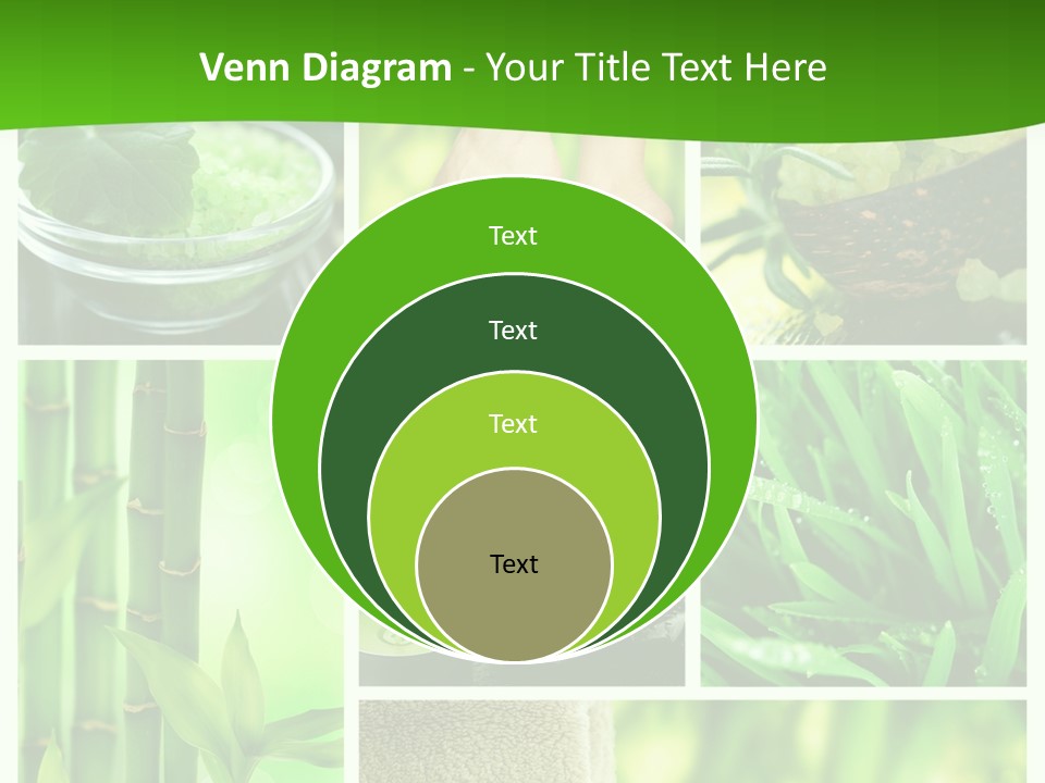 Bamboo Medical Legs PowerPoint Template