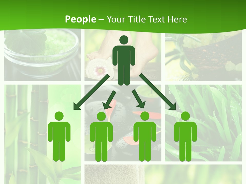 Bamboo Medical Legs PowerPoint Template