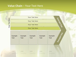 Drink Tropical Healthy PowerPoint Template