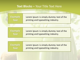 Drink Tropical Healthy PowerPoint Template