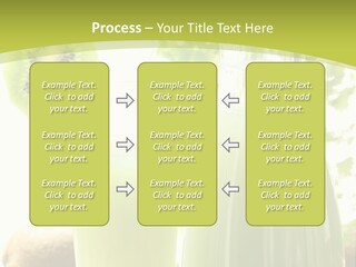 Drink Tropical Healthy PowerPoint Template