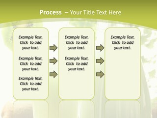 Drink Tropical Healthy PowerPoint Template