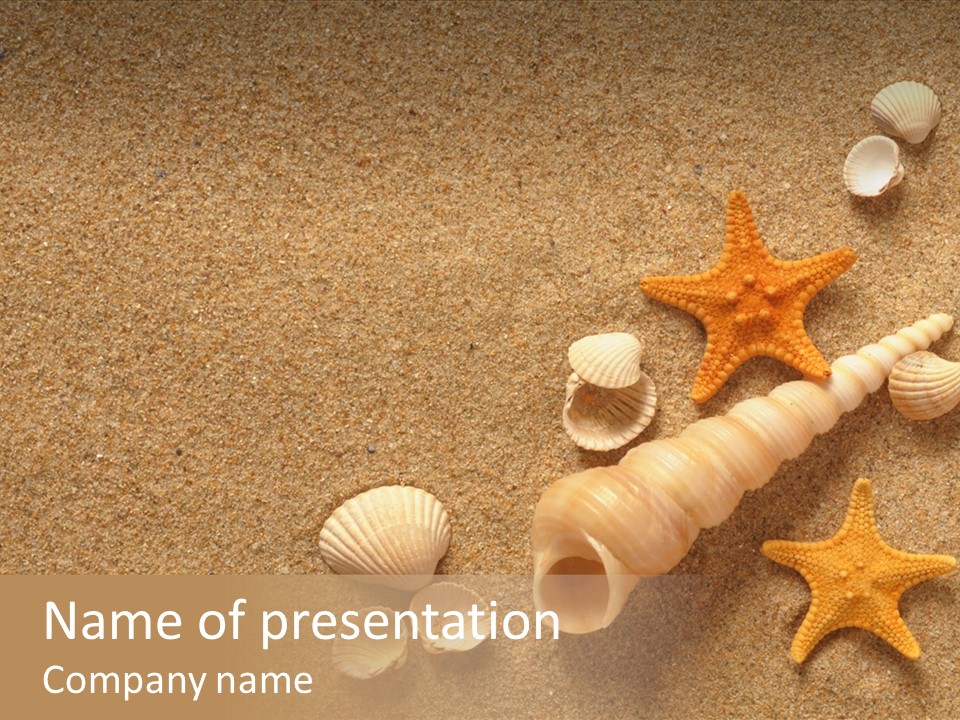 Vacation Souvenir Starfish PowerPoint Template