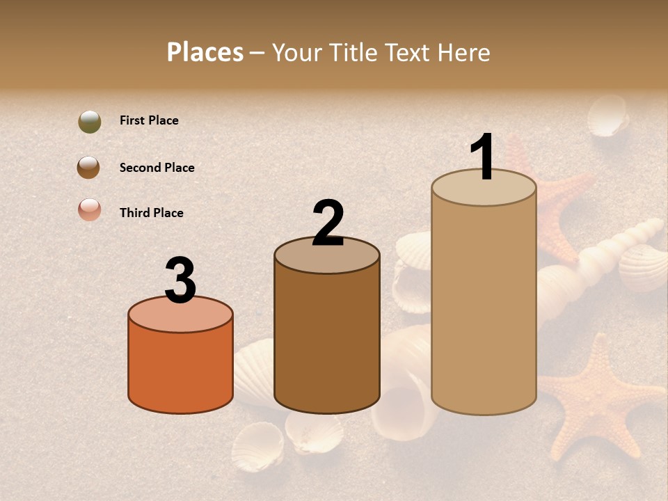 Vacation Souvenir Starfish PowerPoint Template