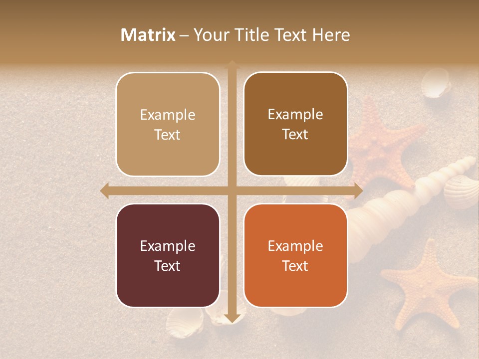 Vacation Souvenir Starfish PowerPoint Template