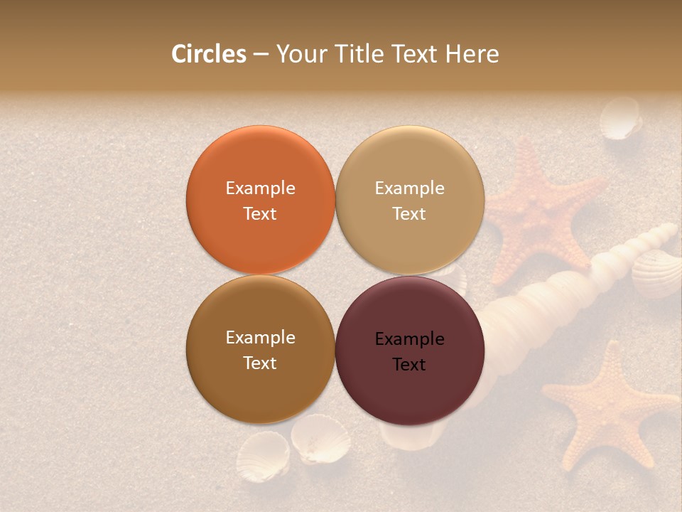 Vacation Souvenir Starfish PowerPoint Template