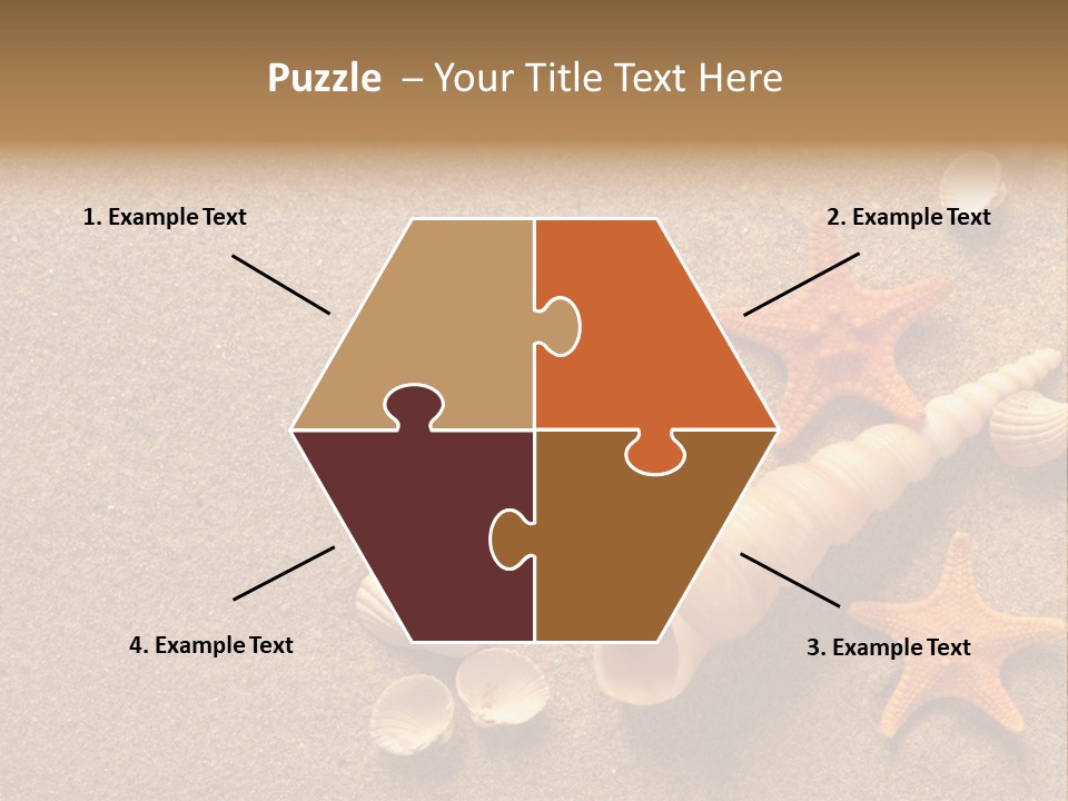 Vacation Souvenir Starfish PowerPoint Template