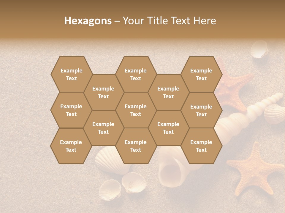 Vacation Souvenir Starfish PowerPoint Template