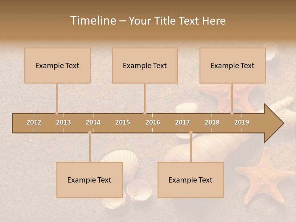 Vacation Souvenir Starfish PowerPoint Template