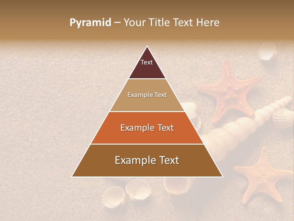 Vacation Souvenir Starfish PowerPoint Template