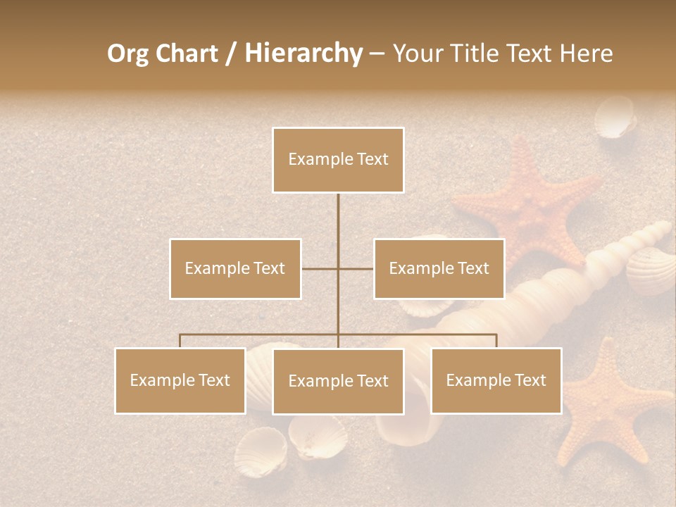 Vacation Souvenir Starfish PowerPoint Template