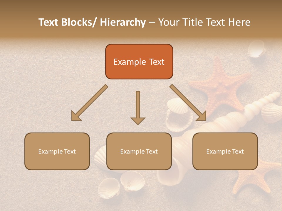 Vacation Souvenir Starfish PowerPoint Template