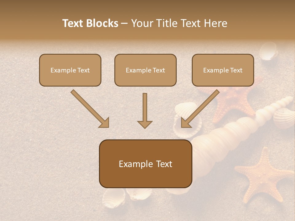 Vacation Souvenir Starfish PowerPoint Template