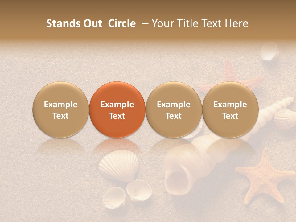 Vacation Souvenir Starfish PowerPoint Template