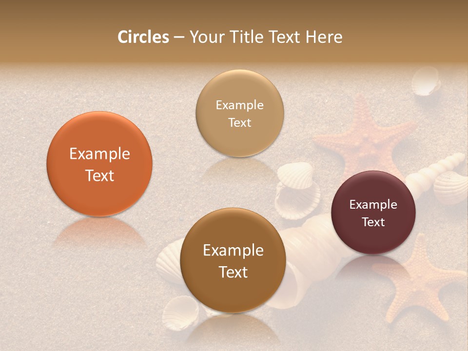 Vacation Souvenir Starfish PowerPoint Template