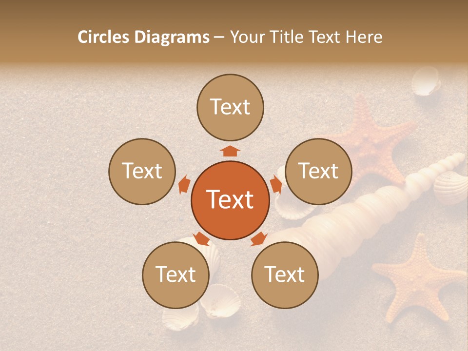 Vacation Souvenir Starfish PowerPoint Template