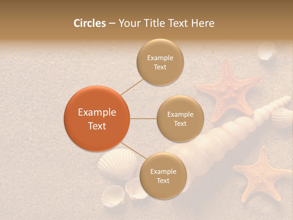 Vacation Souvenir Starfish PowerPoint Template