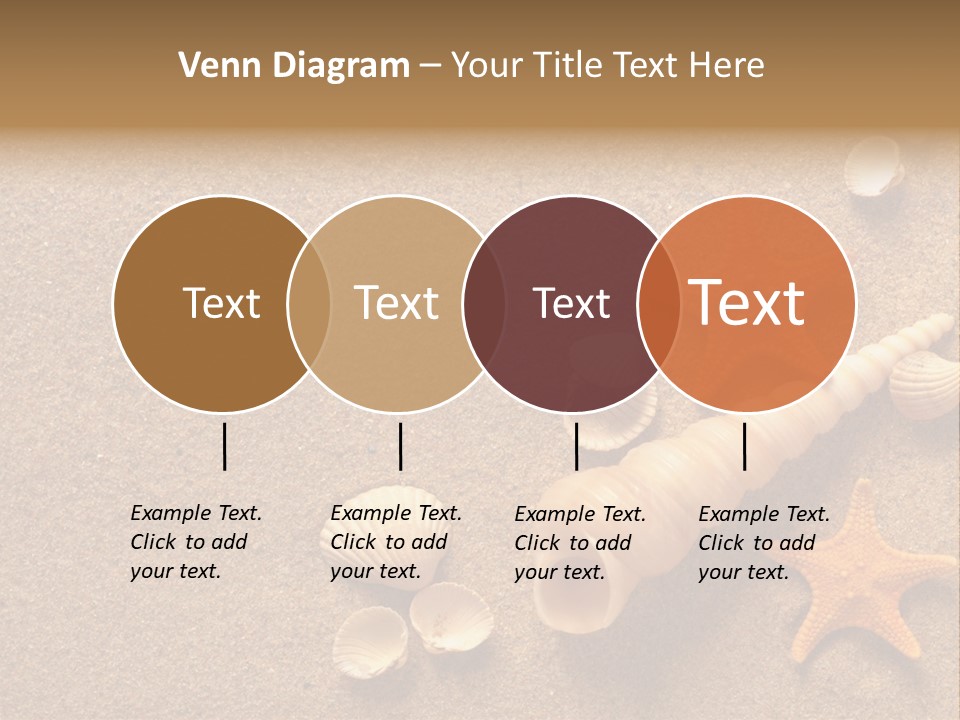 Vacation Souvenir Starfish PowerPoint Template