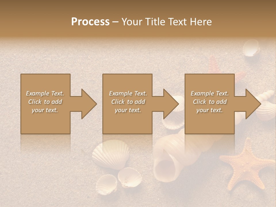 Vacation Souvenir Starfish PowerPoint Template