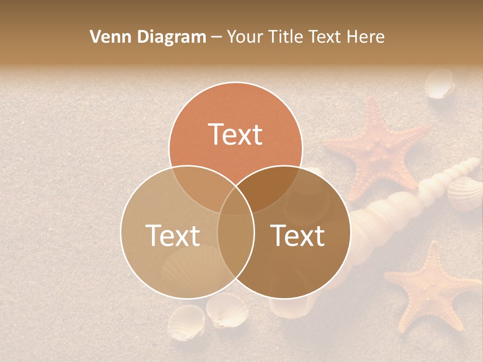 Vacation Souvenir Starfish PowerPoint Template